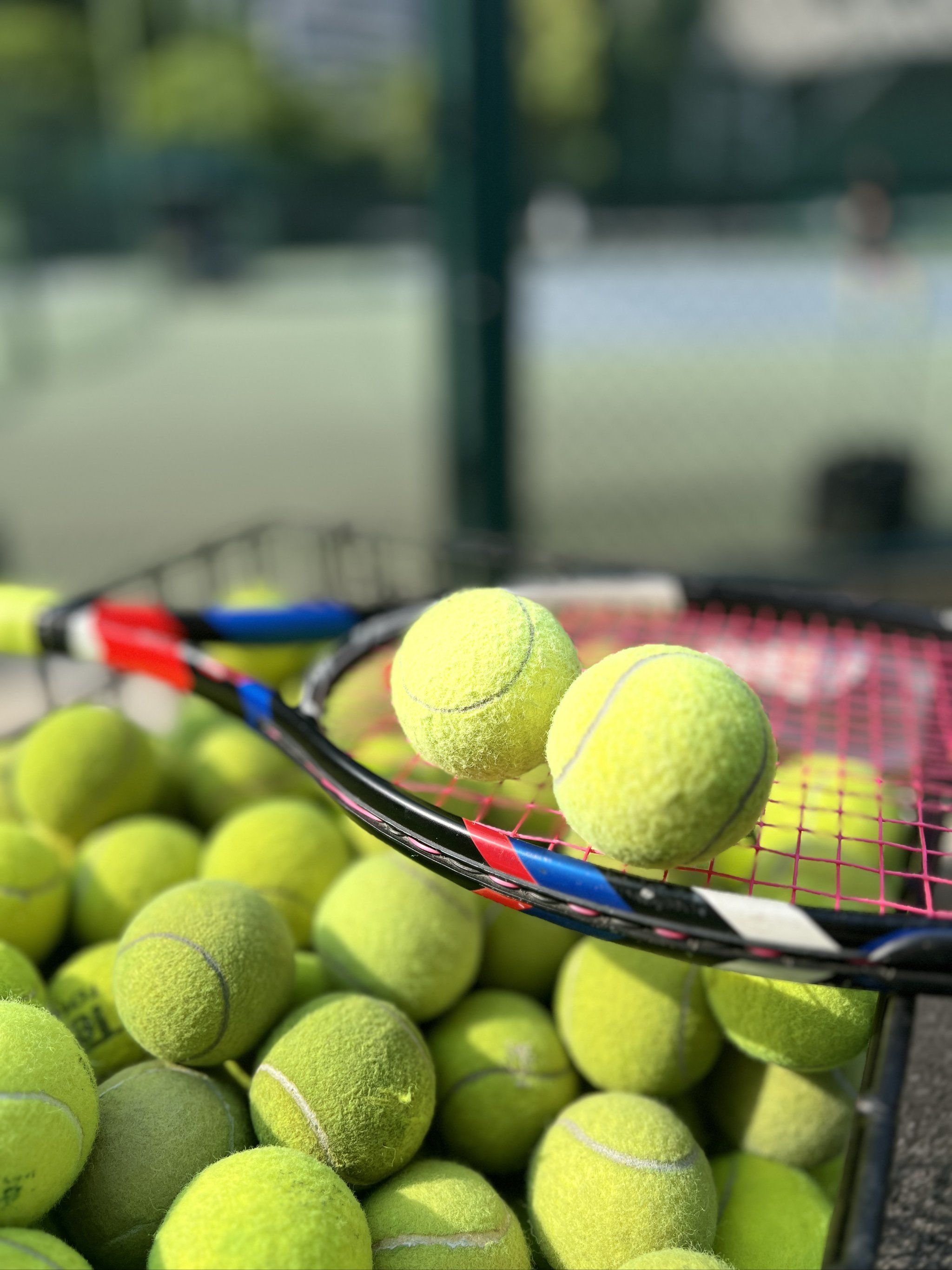 姿与胸口挡 姿与胸口挡