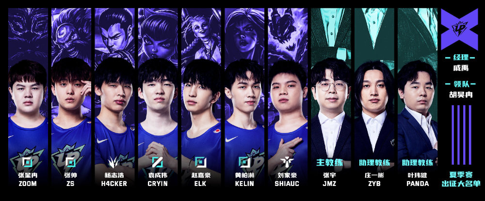 职业范式 职业范式